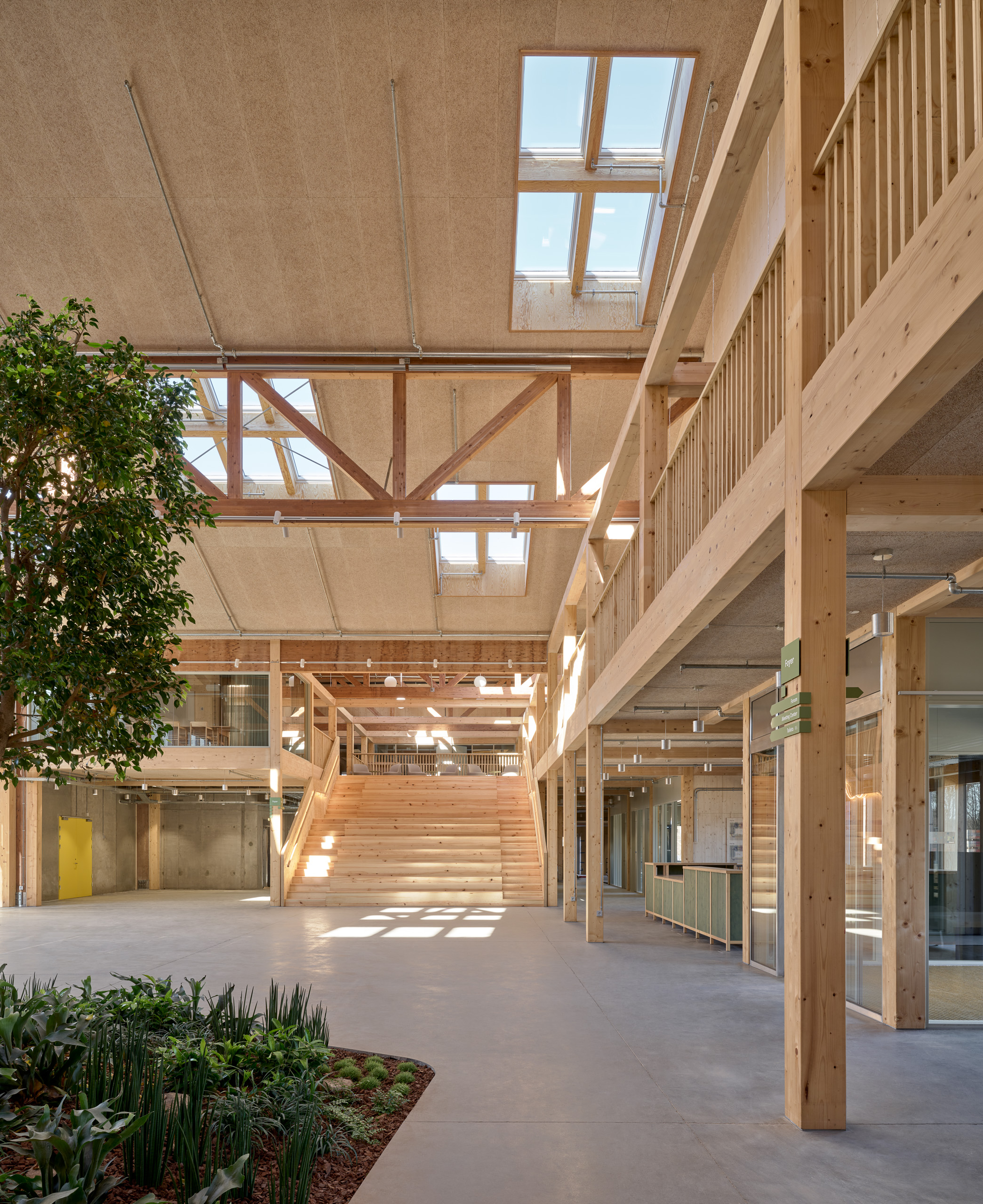 LKR IH Photo Adam Mork 193 L