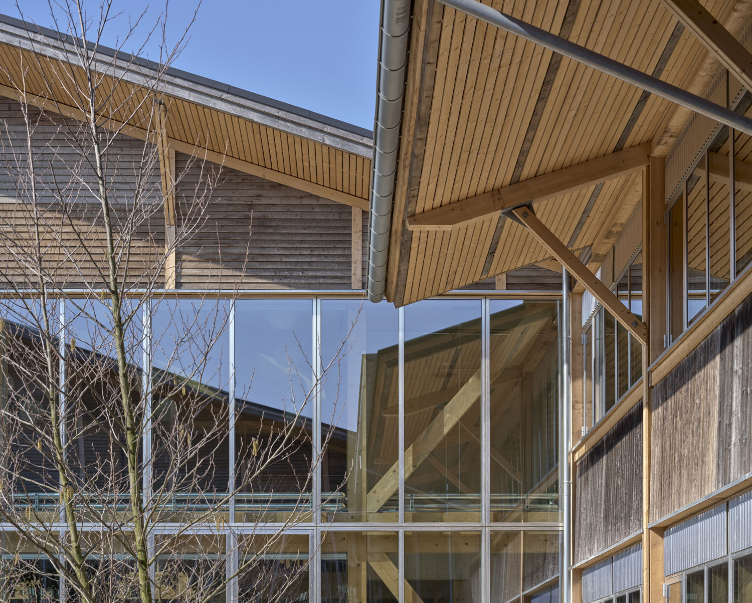 8358884 LKR IH Photo Adam Mork 183