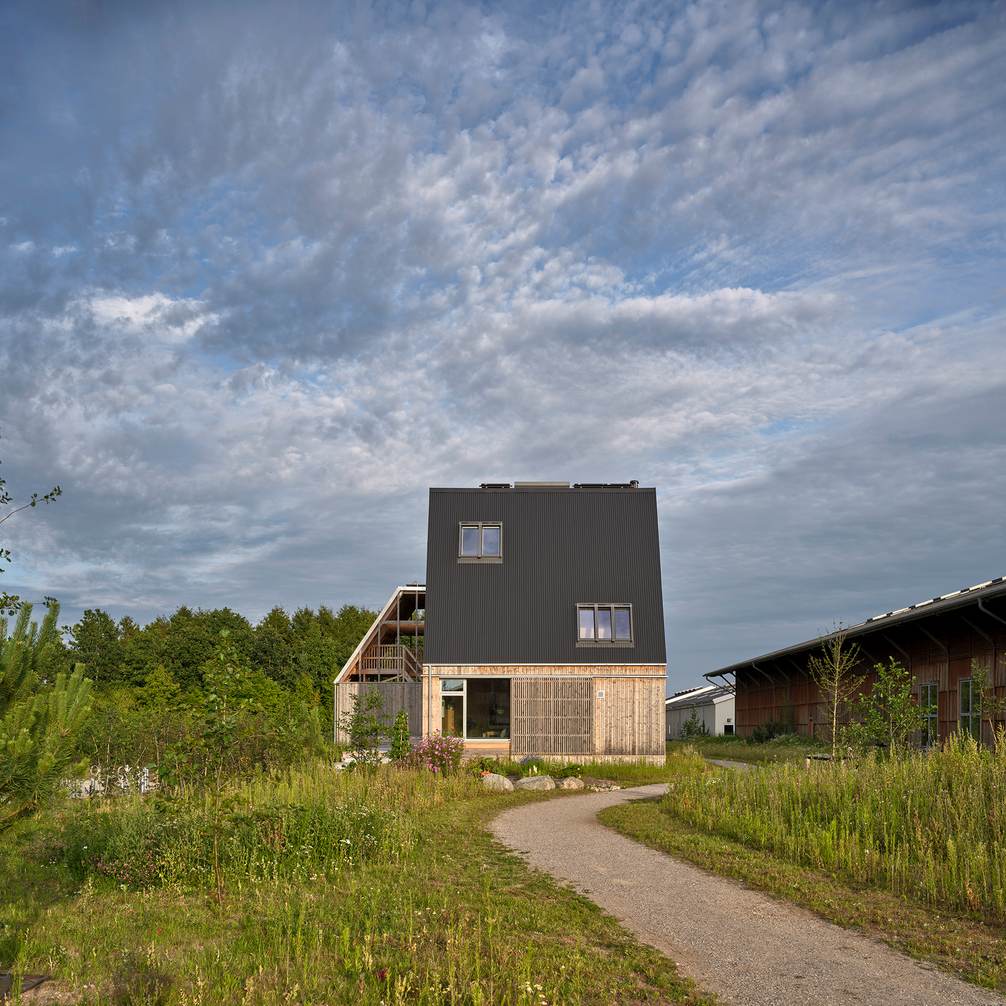 9830206 LP Aug 2025 Photo Adam Mork 009 XH