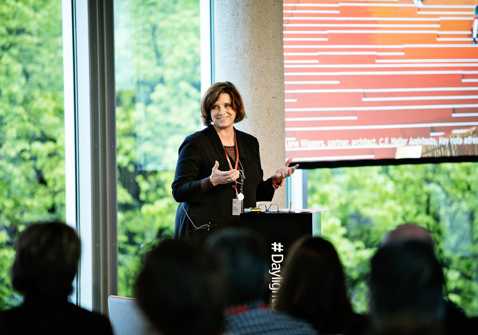 VELUX DAYLIGHT 3581 Edited