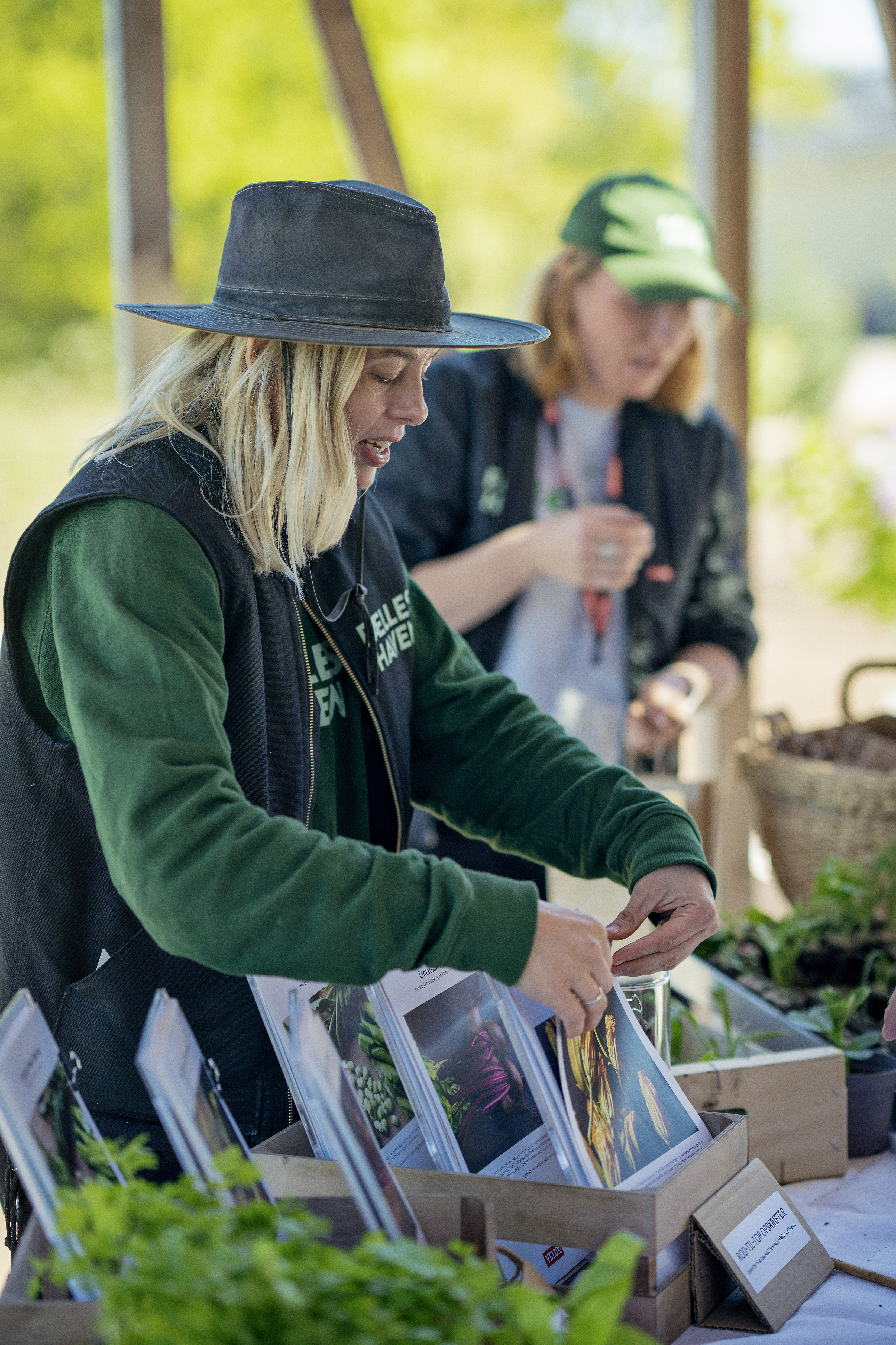 VELUX 250512 LKR INNOVATION HOUSE 3726