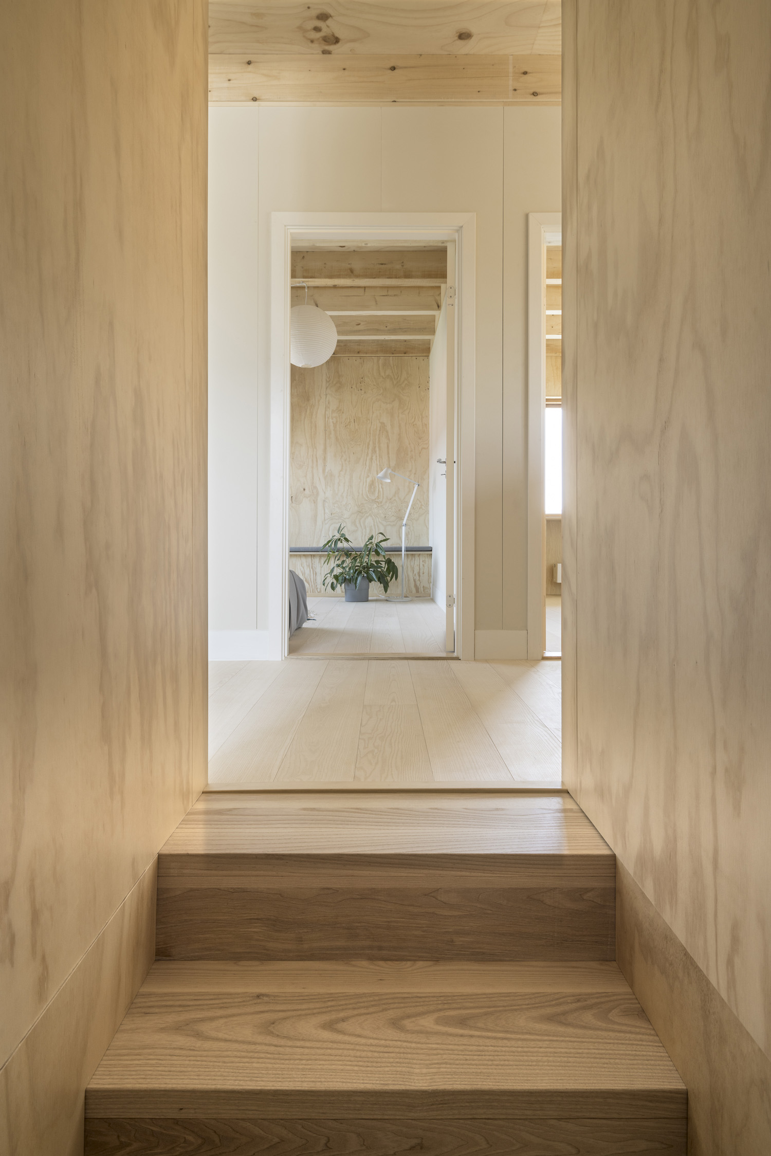 Timberframe Step By Step 19 H