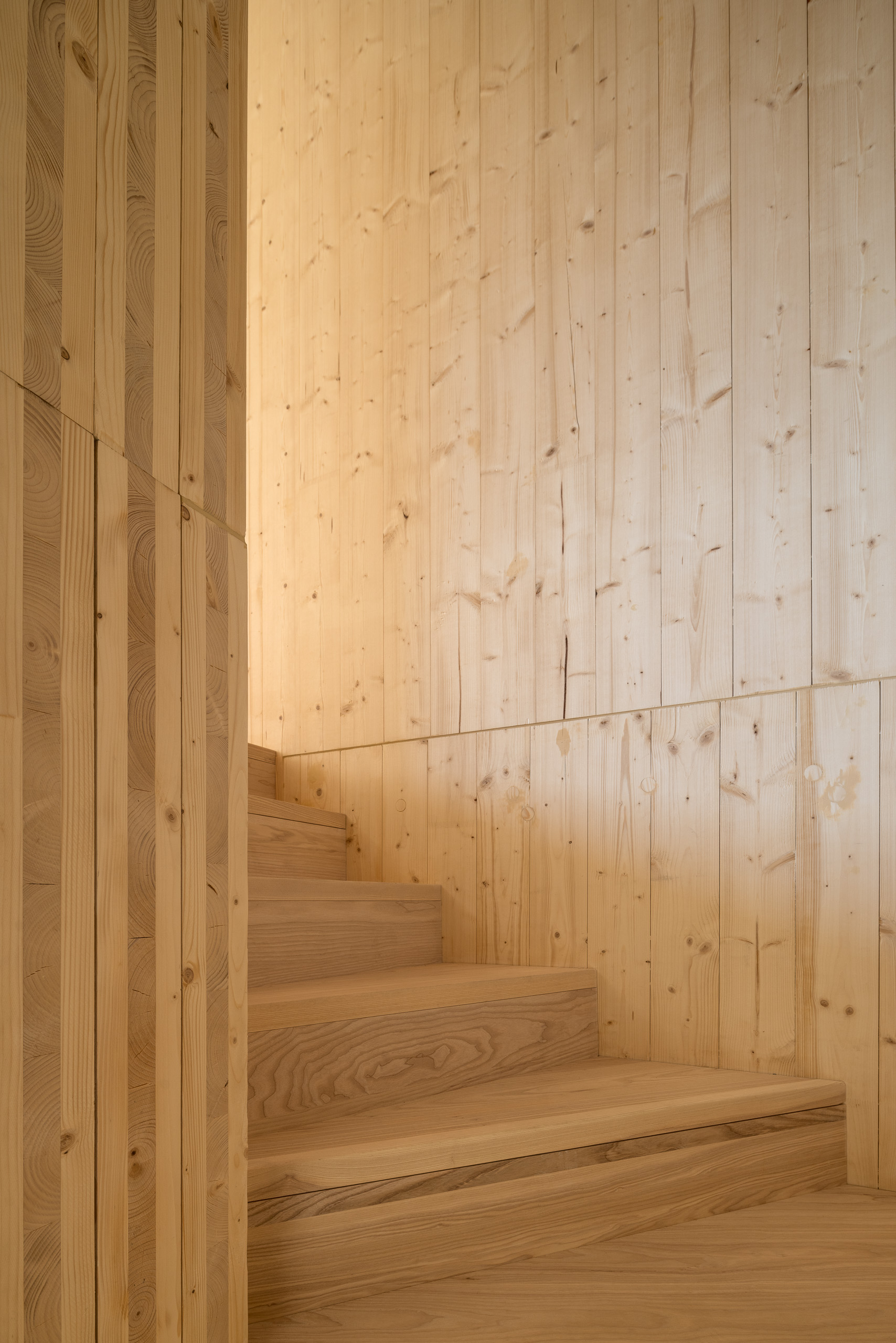 CLT Step By Step 031 L